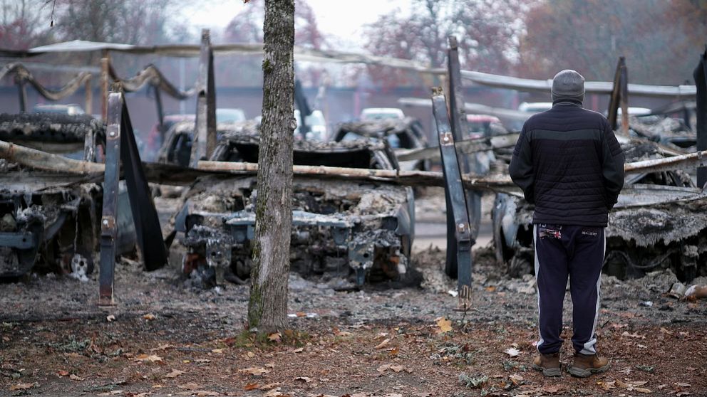 En man står vänd mot en rad av utbrända bilar, omgivna av ödelagd mark och träd, vilket visar konsekvenserna av en brand. Skogen i bakgrunden har också påverkats, och atmosfären är dyster och stilla.