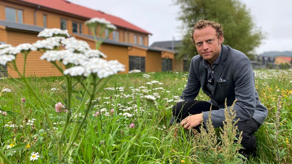 Blommor, verksamhetschef, kommun, gräs.