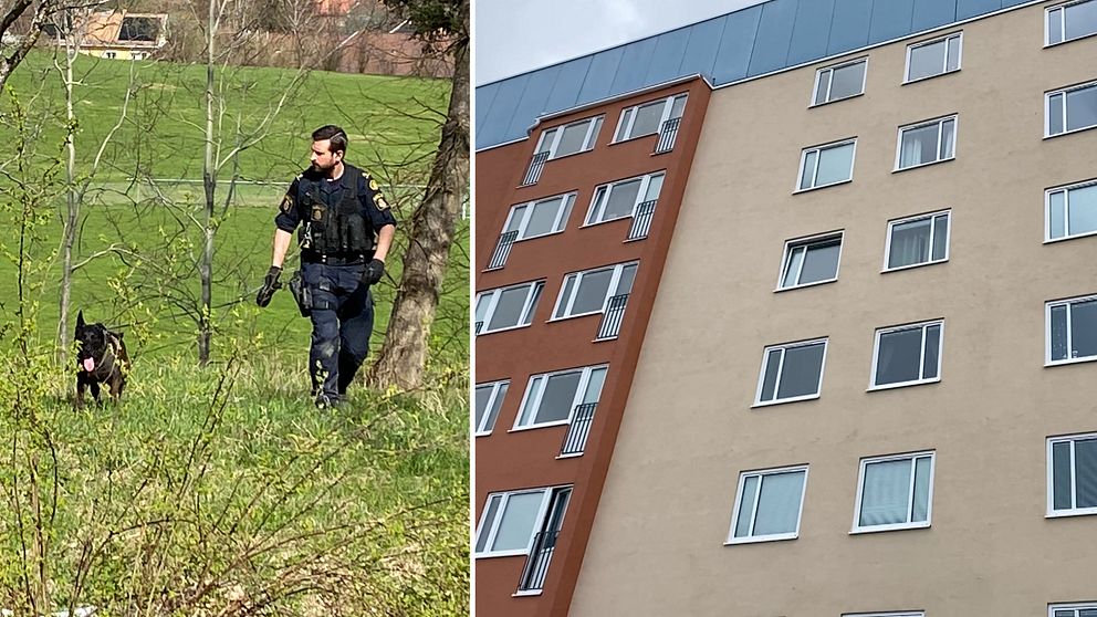 Skjutning mot lägenhetsdörr på Ektorp i Norrköping.