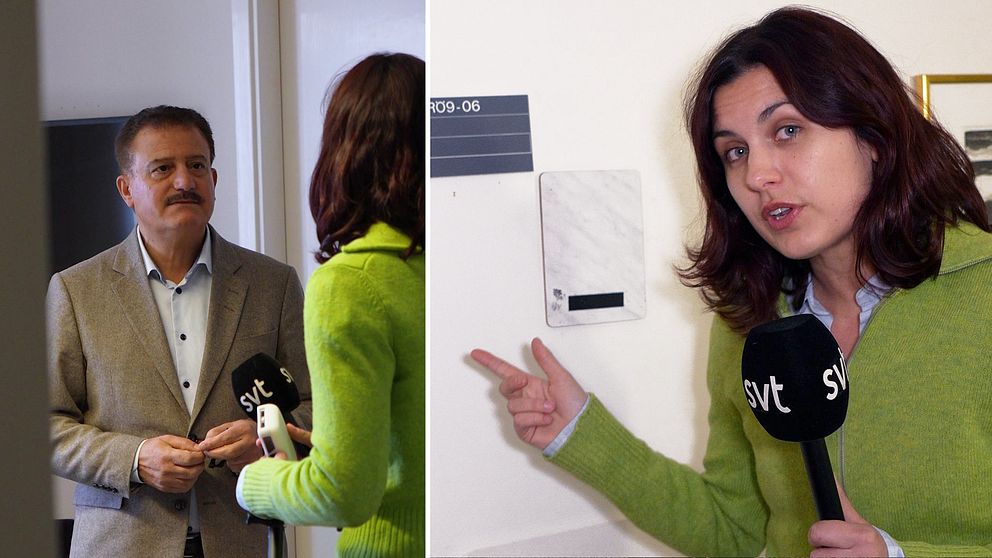 Häng med till korridoren där de politiska vildarna jobbar, och hör Jamal El-Hajs tips sin nya kontorsgranne Lorena Delgado Varas.