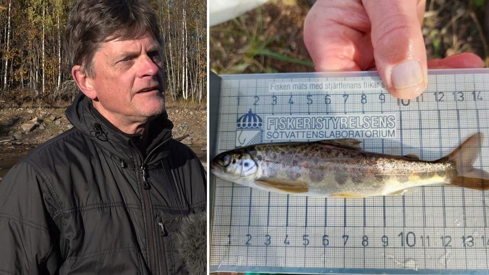 En man med svart jacka till vänster och en laxunge till höger.