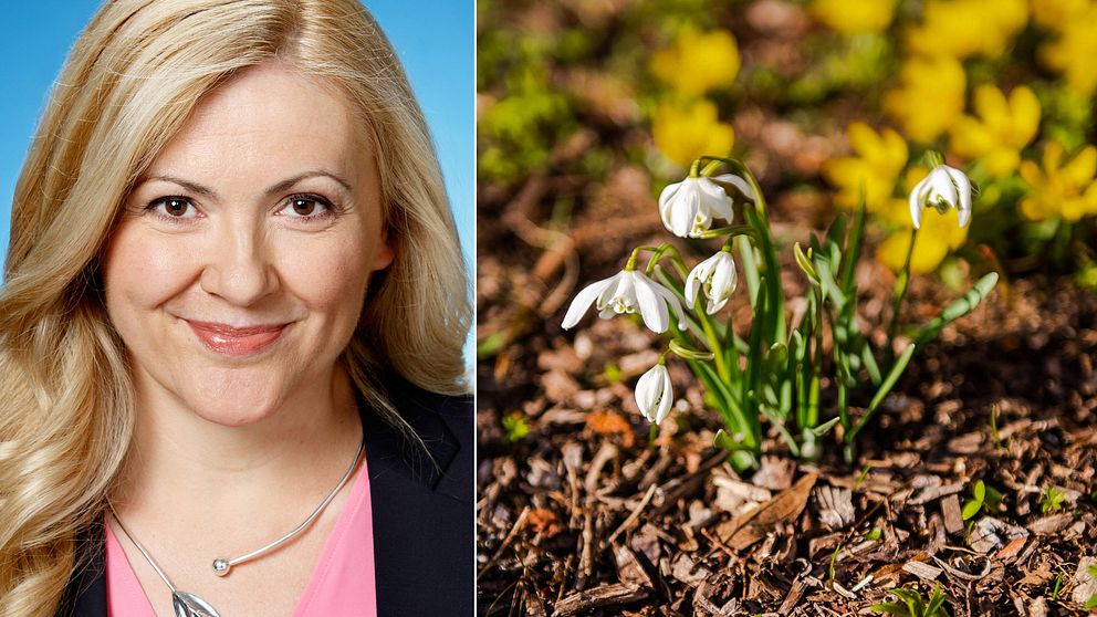 Meteorologen Deana Bajic och blomman snödroppe