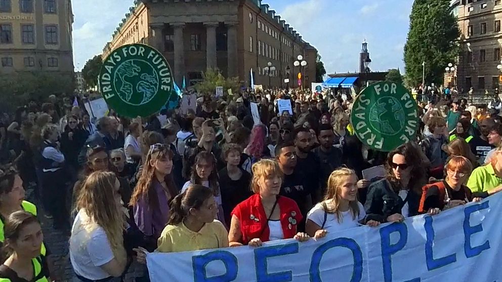 Demonstranter med plakat på FFF:s demonstration