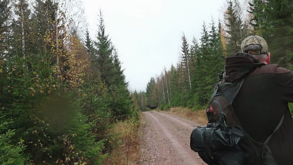 En man med ryggsäcken står på en grusväg omgiven av tät skog. Han vänder sig mot skogsängen framför sig, där en annan människa eller ett djur kan skymtas i bakgrunden. Träden varierar i höjd och typ, och det är en mulen dag med delvis dämpat ljus.