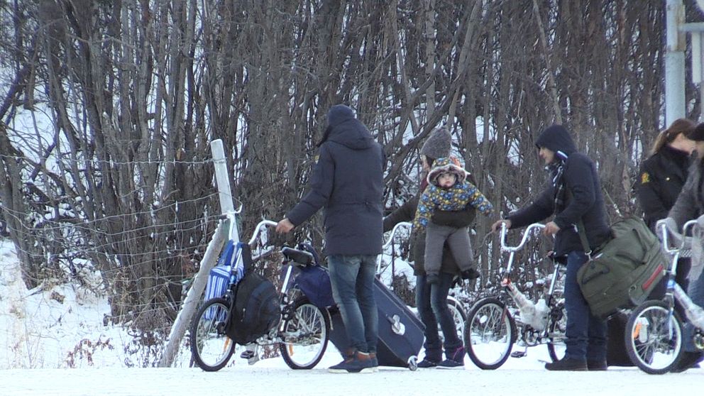 Asylsökanden vid gränsen mellan Norge och Ryssland, 2015
