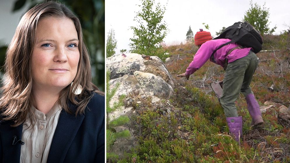 Hanna Geurtsen och bärplockare