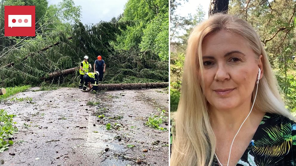 skogsarbetare som försöker få bort träd som fallit över en väg och en blond kvinna som är meteorolog på SVT – en bildsplitt