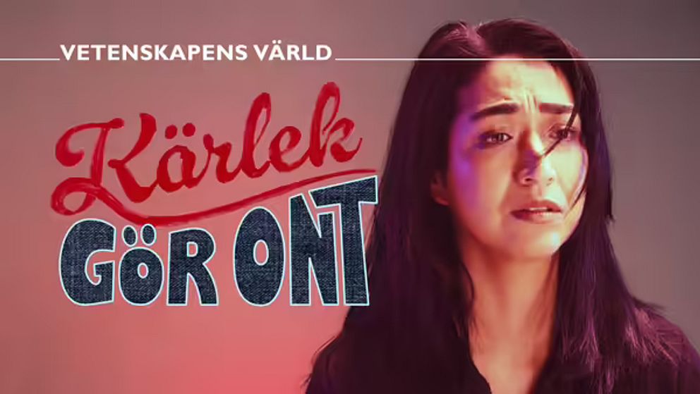 Texten ”Vetenskapens Värld: Kärlek Gör Ont” visas mot en bakgrund med en suddigt visad person, vilket antyder ett tema om kärlek och smärta inom ett vetenskapsprogram.