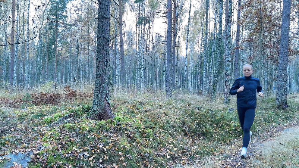 En person joggar längs en stig i en skog med höga träd och höstfärgade löv. Naturen är lugn och omgivningen visar tydliga tecken på höst, med fjärran trädkronor och en grönskande mark.