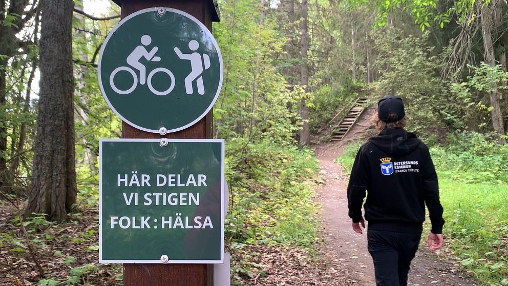 Traskar på stig i skogen