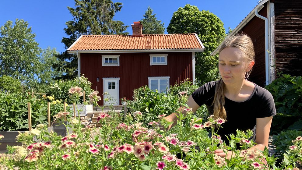 Sofia Hölaas Borén, trädgårdsmästare och värd för Solbacka Småbruk