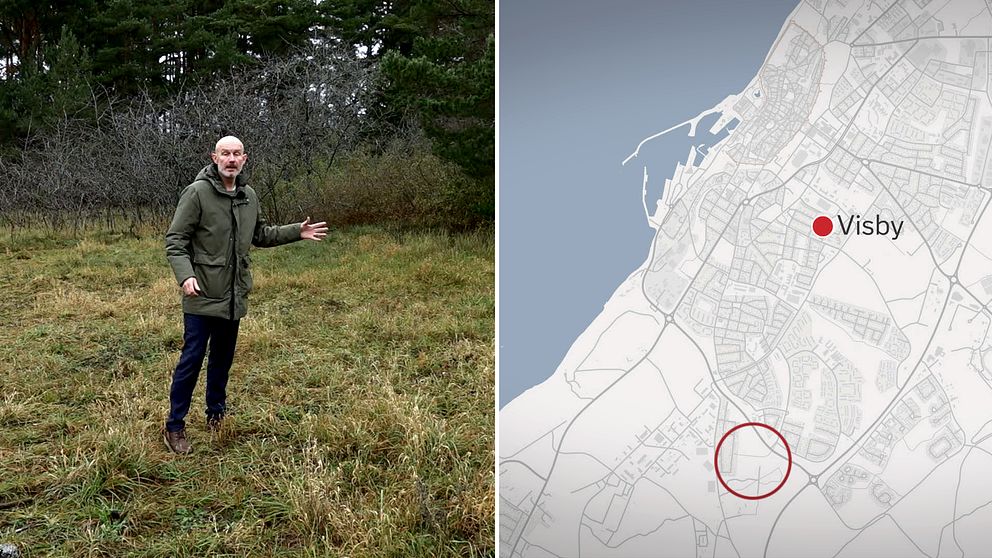 SVT reporter syns i ett skogsparti. bredvid en karta över visby.