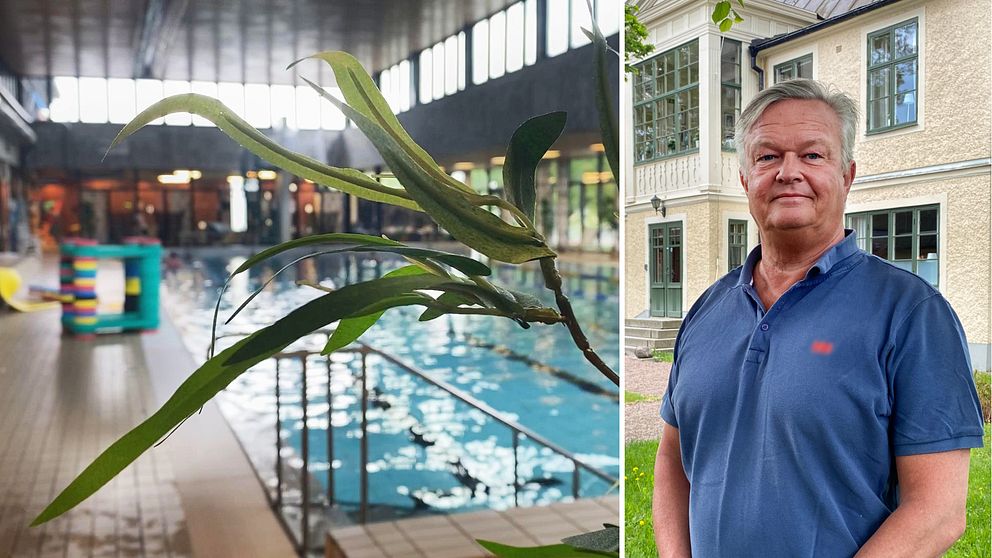 Kollage: Till vänster en simhall. Till höger Hedemoras kommunalråd Lennart Mångs (M) som står utomhus i blå kortärmad pikétröja. Han har kort grått hår och tittar in i kameran.