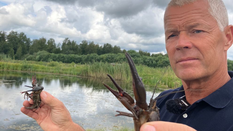 Bo Andersson håller upp två kräftor framför kameran.