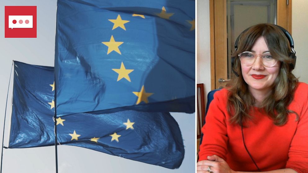 EU-flagga och Ebba Bjerkander