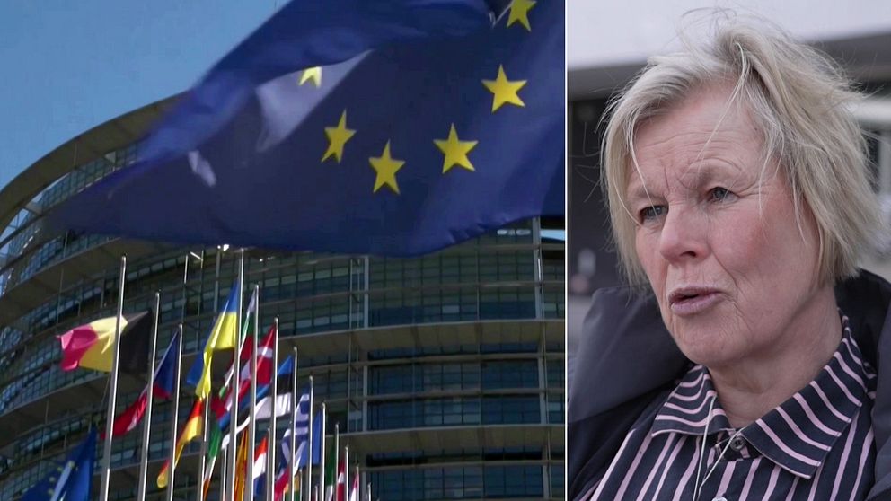 EU-flaggor och Ann-Cathrine Jungar. docent, Södertörns högskola.