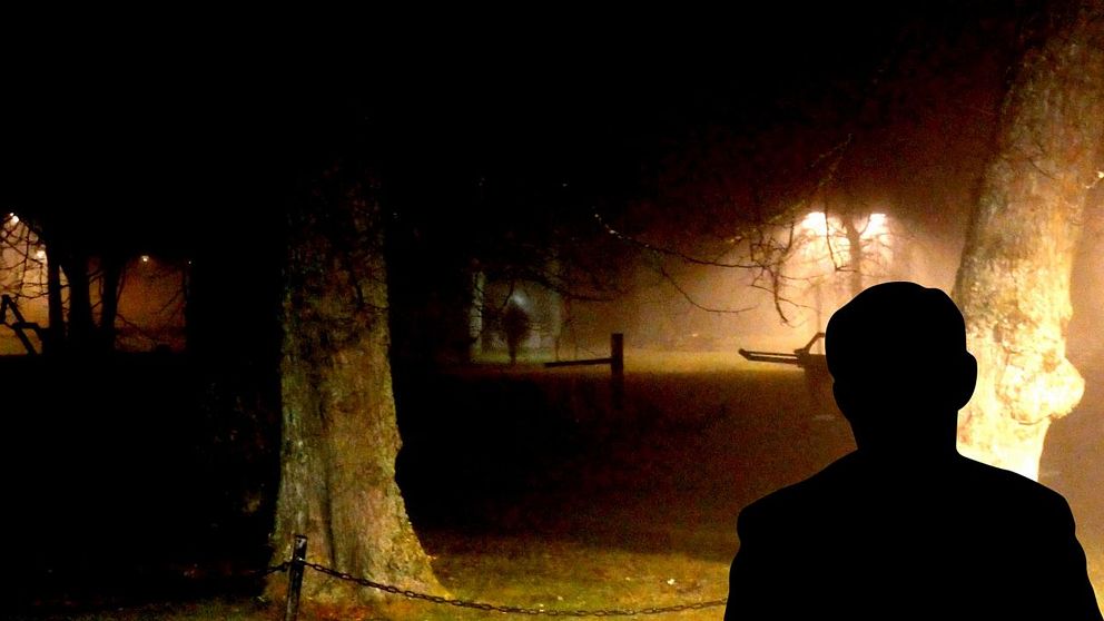 En mörk siluett i skogsmiljö, upplyst bakifrån av gatulampa i dimma.
