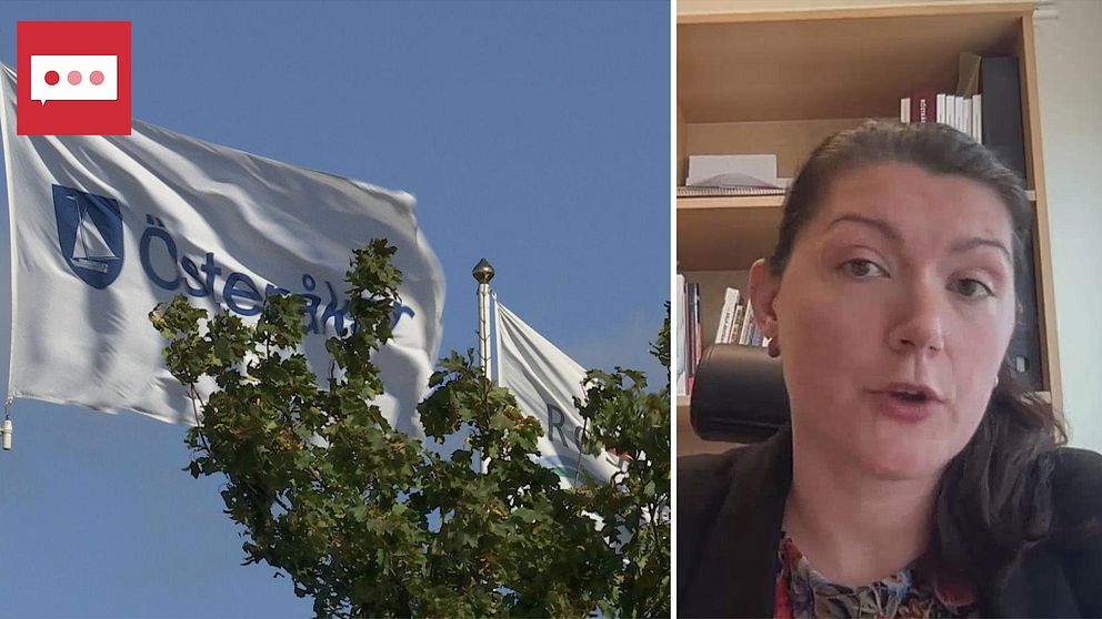 En flagga med Österåkers kommuns emblem/Valeriya Mechkova, biträdande unviersitetslektor i statsvetenskap vid Göteborgs universitet