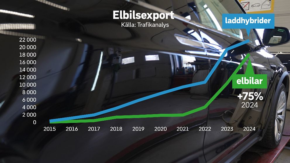 Graf över elbilsexport: laddhybrider vs elbilar, större ökning för elbilar till 2024.