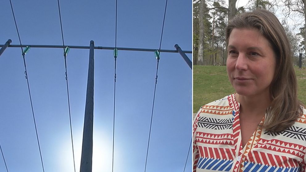 Delad bild: till vänster elledningar, till höger en bild på regionrådet Anna Jähnke (M)