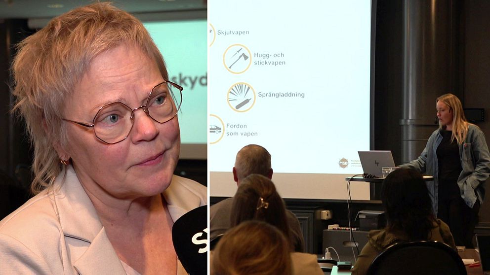 Tvådelad bild. Till vänster: person intervjuas. Till höger: kvinna föreläser vid presentation.