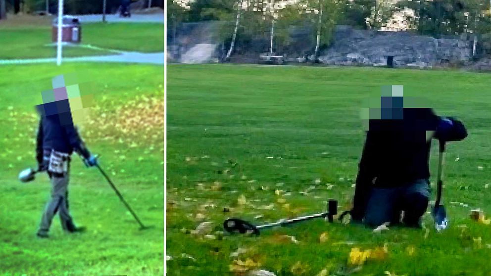 En delad bild som visar en person som använder en metalldetektor i en grön park. Den vänstra sektionen visar personen som går över gräset med detektorn i handen. Den högra sektionen visar samma person knästående, med fokus på detektorn som ligger på marken, omgiven av löv.