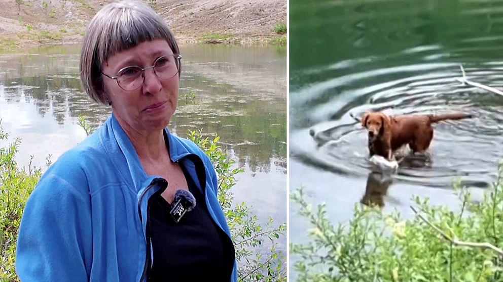 Kvinna som gråter och hund i vatten.