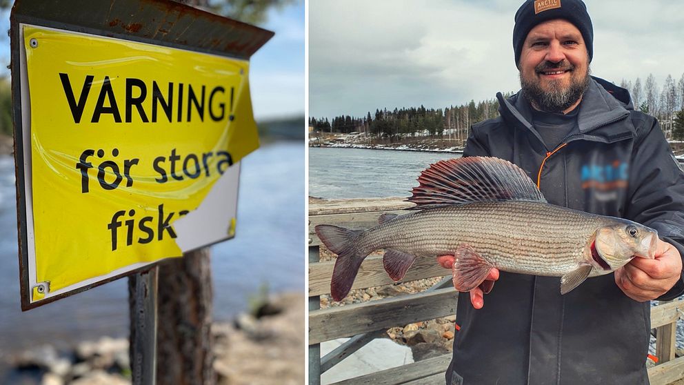 En skylt där det står ”varning för stora fiskar” och en kille som håller i en stor harr.