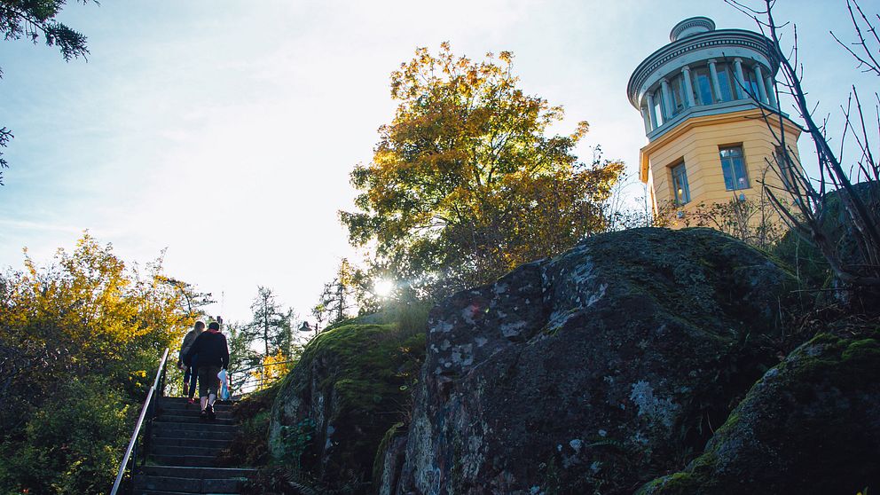 Trädgårdsföreningen i Linköping, Café Belvederen