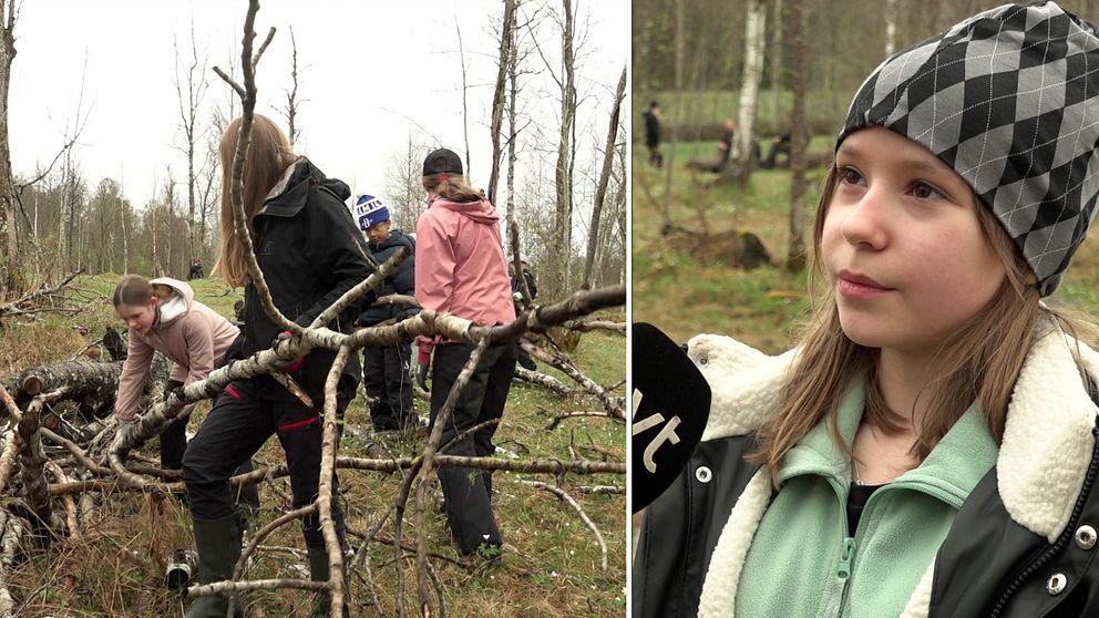 Delad bild. Vänster: barn samlar grenar i skog. Höger: person intervjuas utomhus.