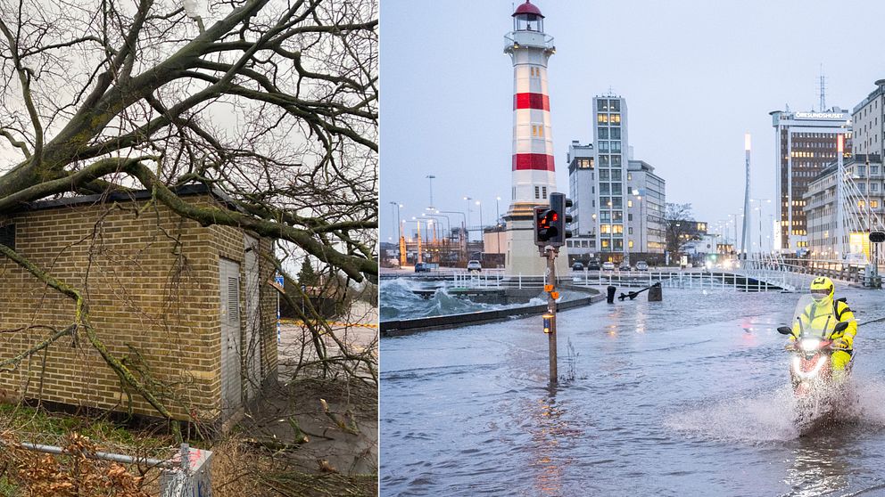 Se bilderna efter stormen Pias härjningar i bland annat Malmö.