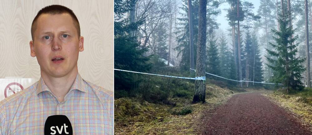 SVT:s reporter Johannes Tolf berättar från häktningsförhandlingen om de misstänkta mordplatserna i Taberg.