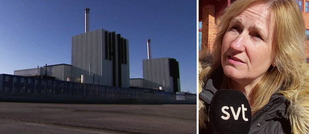 kärnkraftverk och politikern anna hed (c)