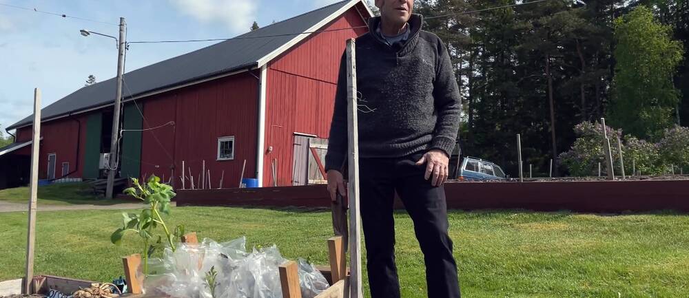man står intill odlingslåda. framför honom står backar med växter som ska planteras