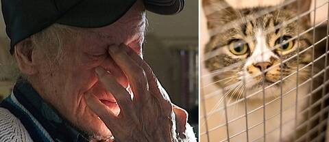 närbild på en gammal man  med handen delvis för ansiktet, samt en katt bakom galler