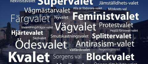 Några av väljarnas namnförslag för riksdagsvalet 2014.