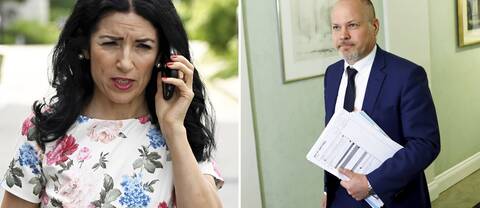 Den politiska vilden Amineh Kakabaveh inför misstroendeomröstningen mot Morgan Johansson (S).