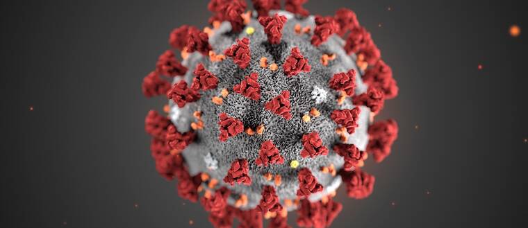 En modell av Corona-viruset