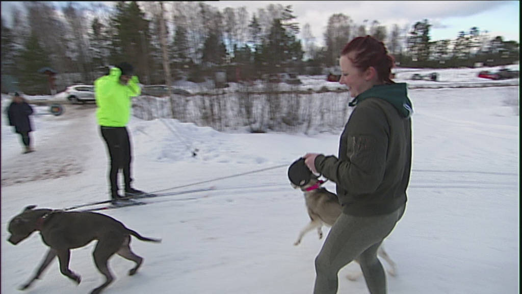 Landet runt Avsnitt 8 SVT Play