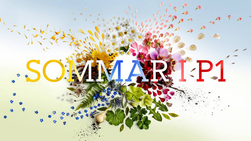 Sommarpratarna presskonferens SVT Play