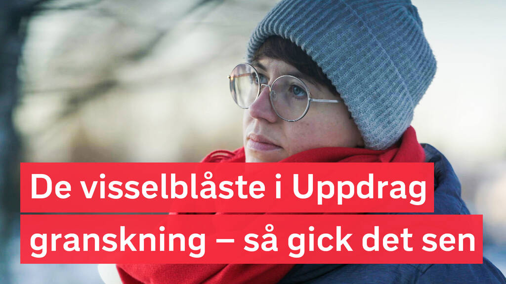 Uppdrag granskning De visselblåste i Uppdrag granskning så gick det
