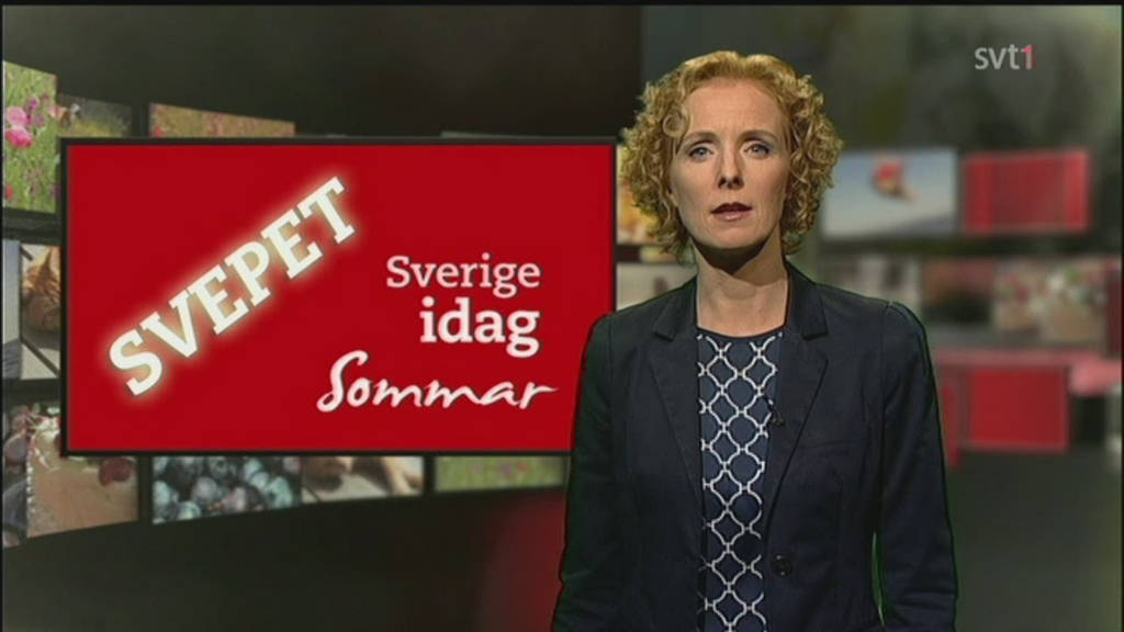 Svt Play Agenda Idag – Svt Play Sverige Program – OHYDHC