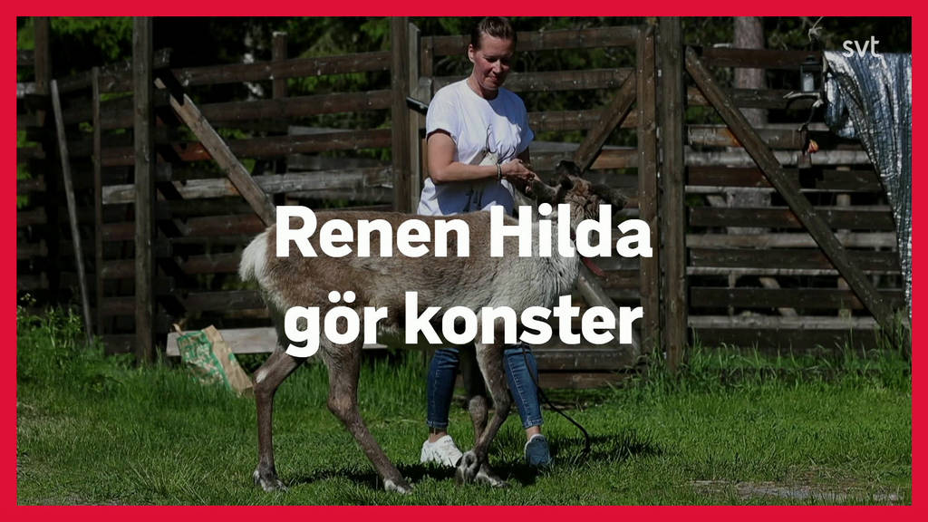 Landet runt Avsnitt 23 SVT Play