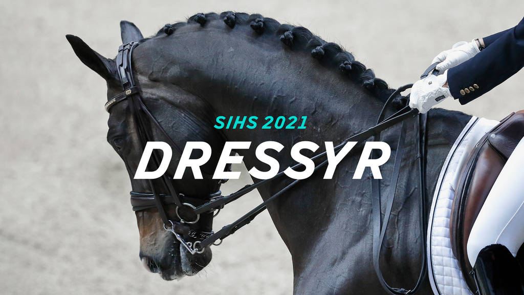 Ridsport Sweden International Horse Show Lövsta Future Challenge