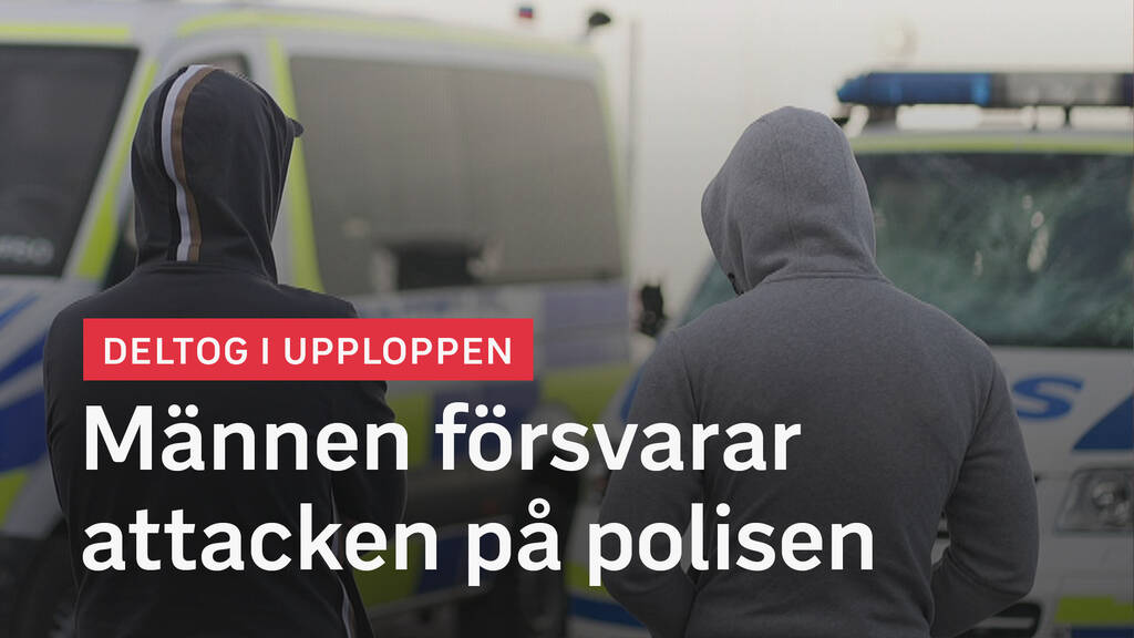 www.svtplay.se