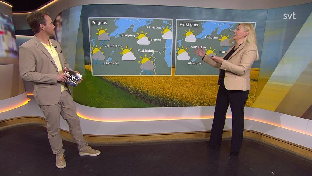 Rapport SVTs meteorolog "Man kan lita mer på väderappar under