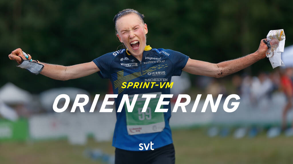 Orientering SprintVM SVT Play