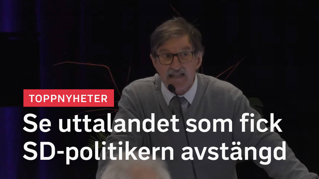 Vad Kommer Sd Göra Om Dom Vinner