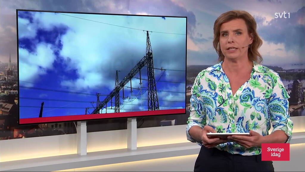 Sverige idag Avsnitt 8 SVT Play