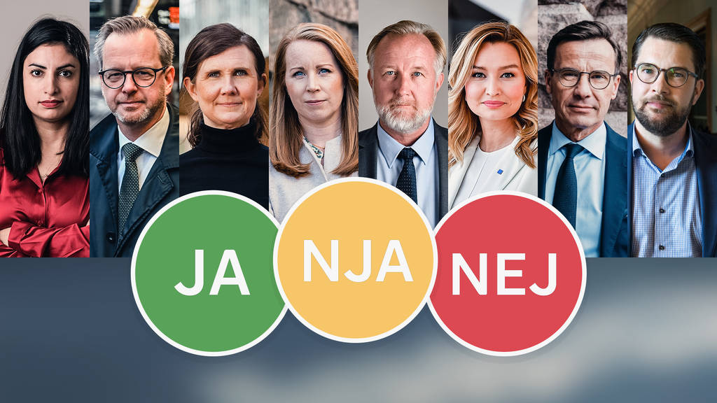 Partierna svarar | SVT Play